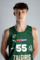 Dominykas Grunkis