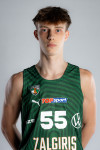 Dominykas  Grunkis